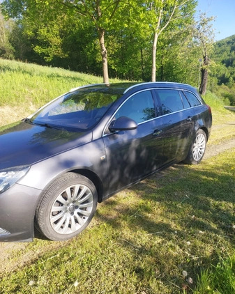 Opel Insignia cena 20400 przebieg: 249758, rok produkcji 2010 z Dolsk małe 121